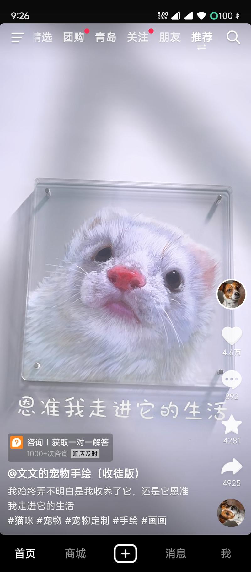 在抖音，做宠物手绘画像定…#情报-搞钱线报📢论坛-网创交流-优创圈